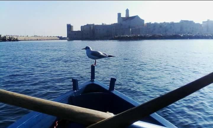 Il Da Vinci Casa Vacanze Giovinazzo Εξωτερικό φωτογραφία